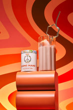 Load image into Gallery viewer, Misty Day - Lions Mane mushroom powder 60gm & 120 capsules