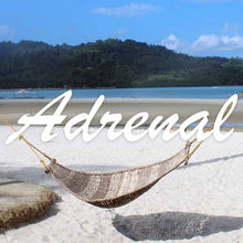 Load image into Gallery viewer, TLC Tonic