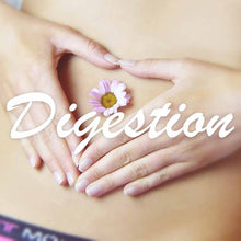 Load image into Gallery viewer, Gastro-Eze