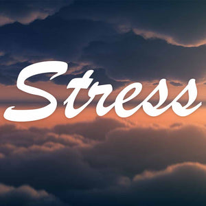 Stress Busta